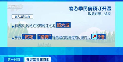 春暖花開時，三大潮流打卡新選擇 花海、民宿與山地戶外運動